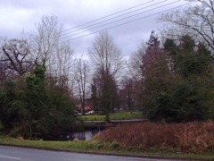 Pond
